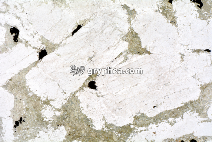 Métagabbro à Hornblende LPNA x3,5 - gryphea.com